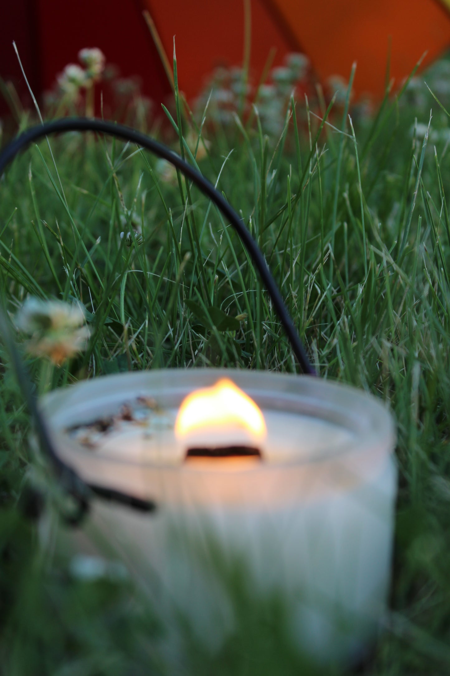 Please Don't Bug Me. Citronella Peppermint Candle