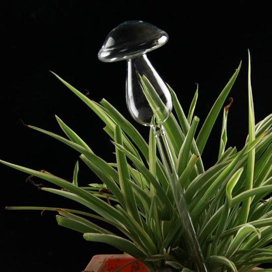 Mushroom Glass Plant Feeder